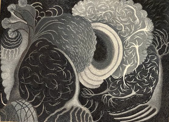 Brain as Landscape by Ann Leda Shapiro contemporary artwork Works on Paper