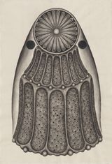 Dummy No.94 by Park Wunggyu contemporary artwork drawing painting works on paper