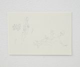 Ghost People Surprised by Ghost Crab by Masaya Chiba contemporary artwork drawing works on paper