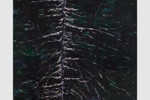 Kirsten Everberg