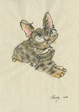 Cat by Yang Hui-ching contemporary artwork drawing