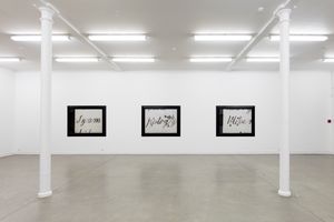Fiona Pardington