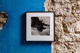 Clarissa Darlymples Dog Kirsten by Peter Hujar contemporary artwork photography