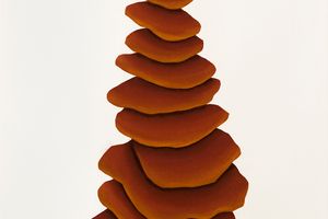 David Nash
