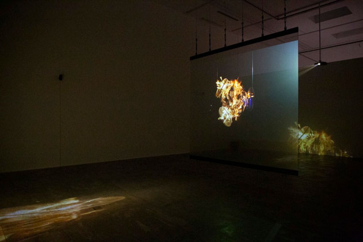 Lu Lei, Apichatpong Weerasethakul