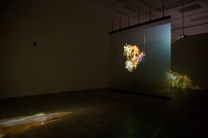 Lu Lei Apichatpong Weerasethakul