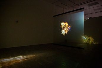 Contemporary art exhibition Lu Lei Apichatpong Weerasethakul First Spring - Chapter 4 at ShanghART Beijing China