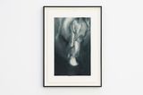 Close to Hand II by Alexandra Karakashian contemporary artwork works on paper