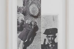 Vaclav Pozarek