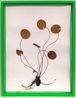 Herbarium by Olafur Eliasson contemporary artwork Works on Paper