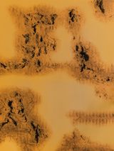 The kind of need - 17  - 17 by Zhang Ding contemporary artwork mixed media