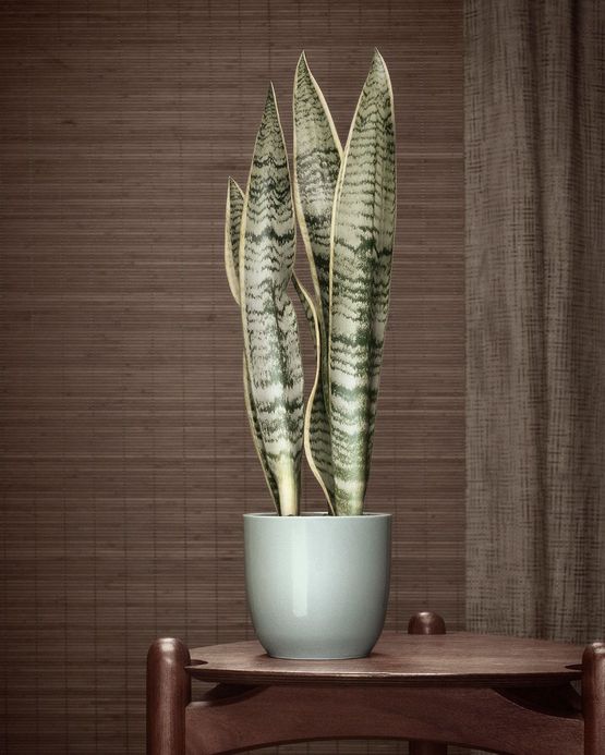 Le Dernier Cri 004 Large by Erwin Olaf contemporary artwork Print