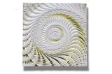 Untitled-175 by Ou Jin contemporary artwork painting sculpture