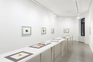 Richard Tuttle