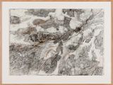 Study for What would the world be once bereft of wet and wildness Bibbaringa 9 by John Wolseley contemporary artwork drawing works on paper