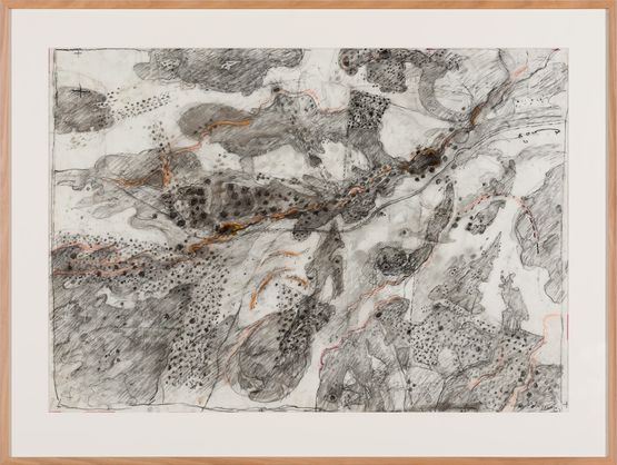 Study for What would the world be once bereft of wet and wildness Bibbaringa 9 by John Wolseley contemporary artwork Works on Paper