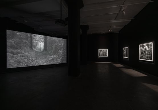 350000 by Dawoud Bey contemporary artwork Moving Image