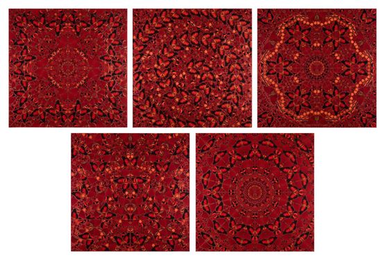 The Empressess - full set of 5 by Damien Hirst contemporary artwork Print
