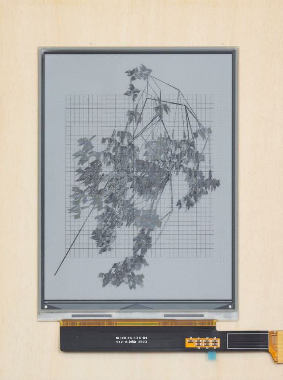 L-systems flowers 4 by Robbie Barrat contemporary artwork Sculpture