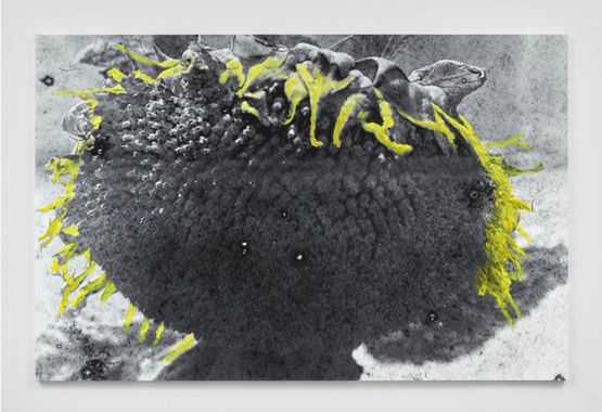 untitled by Ziad Antar contemporary artwork Painting