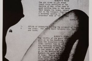 Fiona Banner
