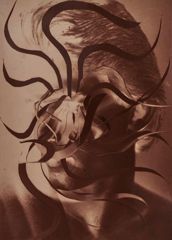 Eyelashes 2 by Jimmy Desana contemporary artwork Photography