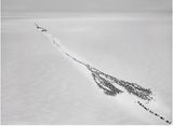 Ob River Arctic Circle by Sebastiao Salgado contemporary artwork photography