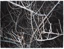 Look at This Grey Tree No.13 by Gong Jian contemporary artwork Painting