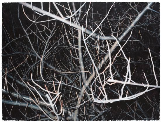 Look at This Grey Tree No.13 by Gong Jian contemporary artwork Painting