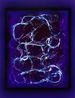 End of Violet 170Y50.5M3C by Justine Varga contemporary artwork Photography