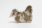 unfuckingtitled by Michael Dean contemporary artwork Sculpture