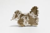 unfuckingtitled  by Michael Dean contemporary artwork sculpture