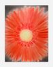 ALL by Nino Kapanadze contemporary artwork Painting