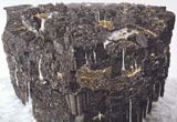 Ark by Ikeda Manabu contemporary artwork works on paper