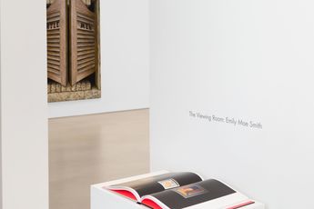 Contemporary art exhibition Emily Mae Smith The Viewing Room at Petzel 25th Street New York United States