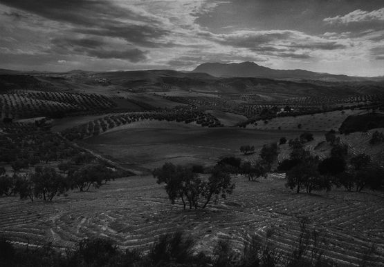 Andalusien Spanien by Barbara Klemm contemporary artwork Photography