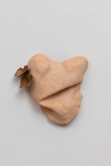 Studies for potential metamorphoses lV by Yasam Sasmazer contemporary artwork