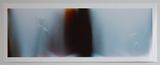 Bruissement 2 by Anne Noble contemporary artwork photography