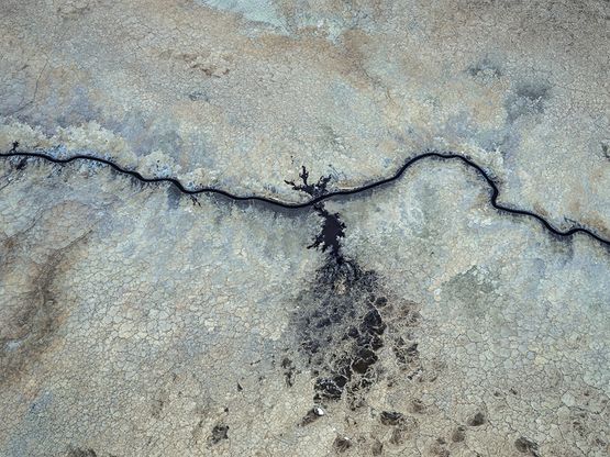 Salt Encrustations 3 Lake Magadi Kenya by Edward Burtynsky contemporary artwork Photography