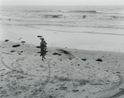 The Decisive Moment by Marie Shannon contemporary artwork Photography