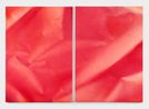 The fold red diptych by Aleksandar Duravcevic contemporary artwork Painting
