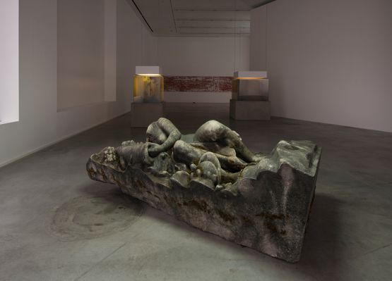 La deraison by Pierre Huyghe contemporary artwork Sculpture