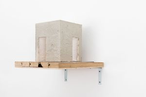 Linus Riepler