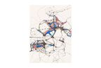 Sem titulo by Sonia Gomes contemporary artwork Works on Paper