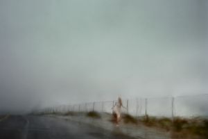 Todd Hido
