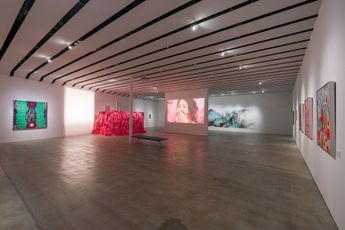 Contemporary art exhibition Group Exhibition Neo China Pulse  Experience the New Generation of Art at Karuizawa New Art Museum