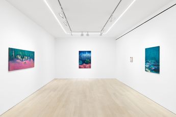 Contemporary art exhibition Paul de Flers Poisson - Scorpion at Almine Rech New York Upper East Side United States