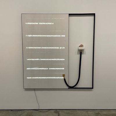 Wang Gongxins Spellbinding London Debut at White Cube