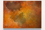 Deep in the Glowing Forest by Khaled Akil contemporary artwork painting