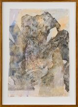 Tawny frogmouth by John Wolseley contemporary artwork works on paper